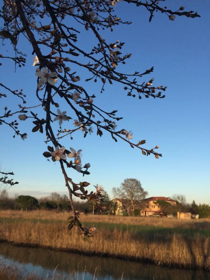 Agriturismo Valle Ca' Del Lovo Carlino 외부 사진