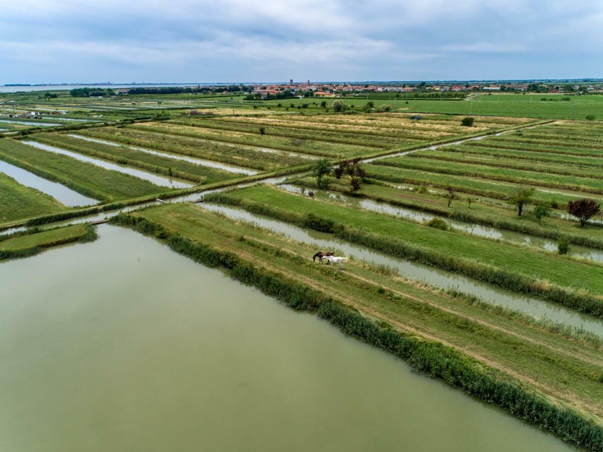 Agriturismo Valle Ca' Del Lovo Carlino 외부 사진